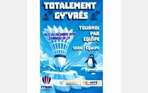 Tournoi par équipes DH DD MX